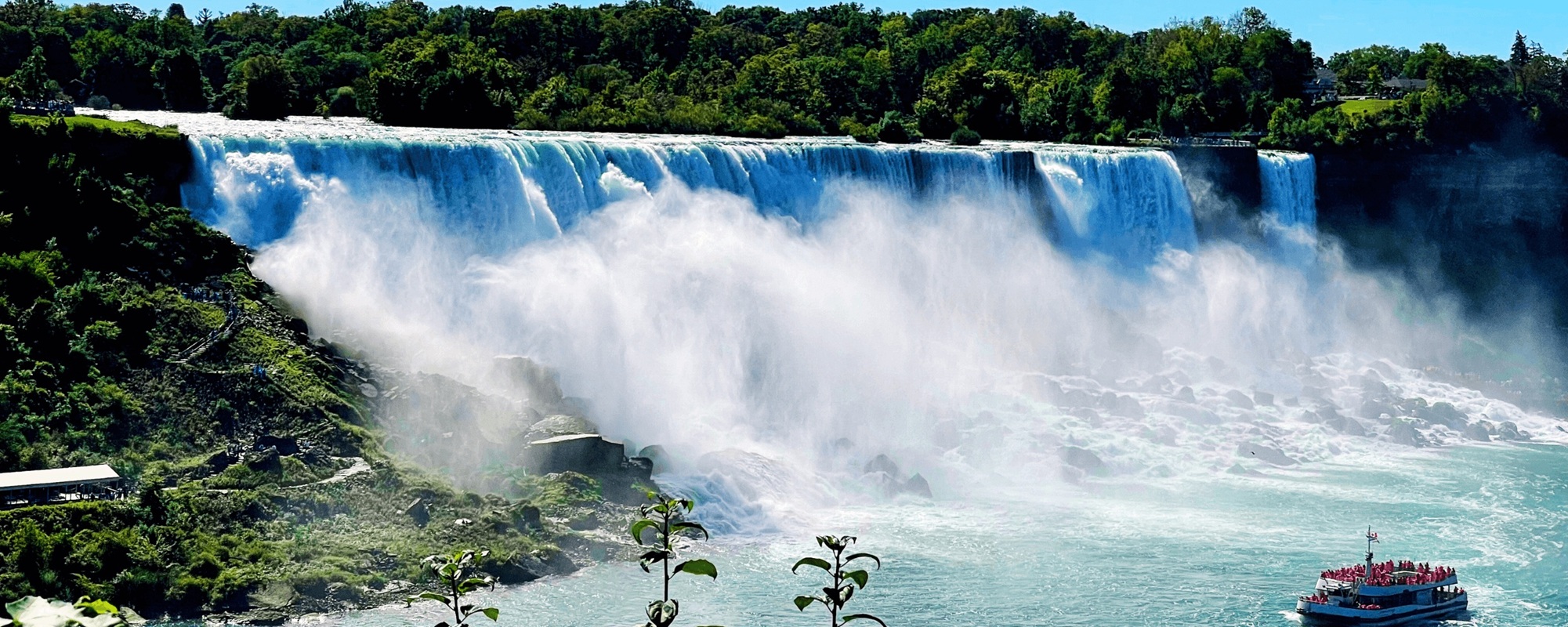 Toronto & Chutes du Niagara en liberté